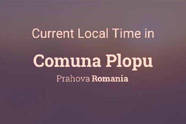 8 escort profiles in Plopu, Romania. Browse companions, services, rates and book online. Incall and outcall available.