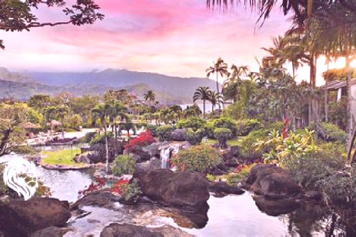 8 escort profiles in Princeville, United States. Browse companions, services, rates and book online. Incall and outcall available.