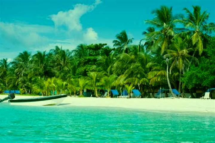 8 escort profiles in San Andres de la Cruz, Mexico. Browse companions, services, rates and book online. Incall and outcall available.