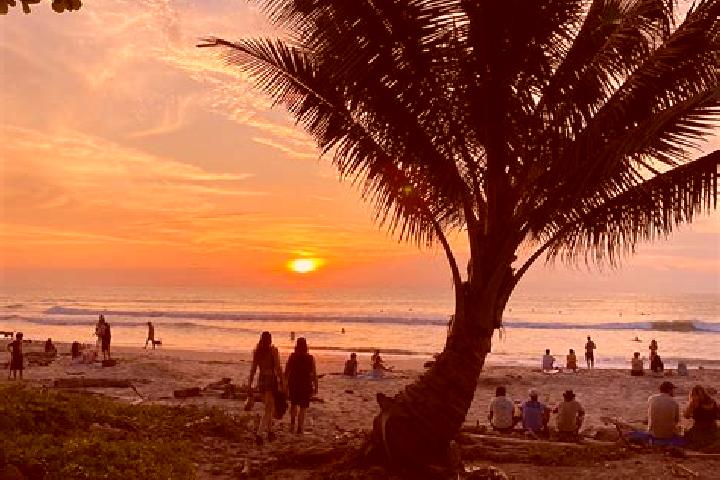8 escort profiles in Santa Cruz, Costa Rica. Browse companions, services, rates and book online. Incall and outcall available.