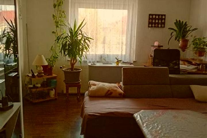 8 escort profiles in Schwerstedt, Germany. Browse companions, services, rates and book online. Incall and outcall available.