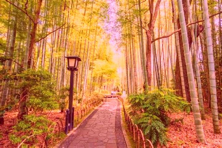 8 escort profiles in Shuzenji, Japan. Browse companions, services, rates and book online. Incall and outcall available.