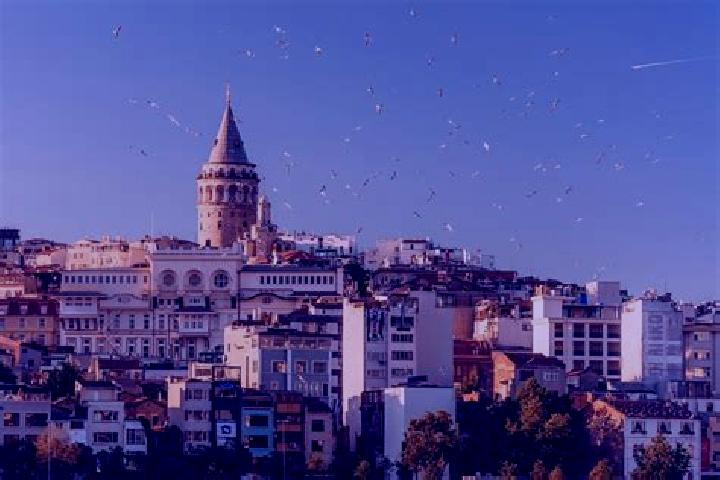 8 escort profiles in Tetirlik, Turkey. Browse companions, services, rates and book online. Incall and outcall available.