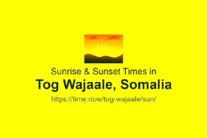 8 escort profiles in Tog Wajaale, Somalia. Browse companions, services, rates and book online. Incall and outcall available.