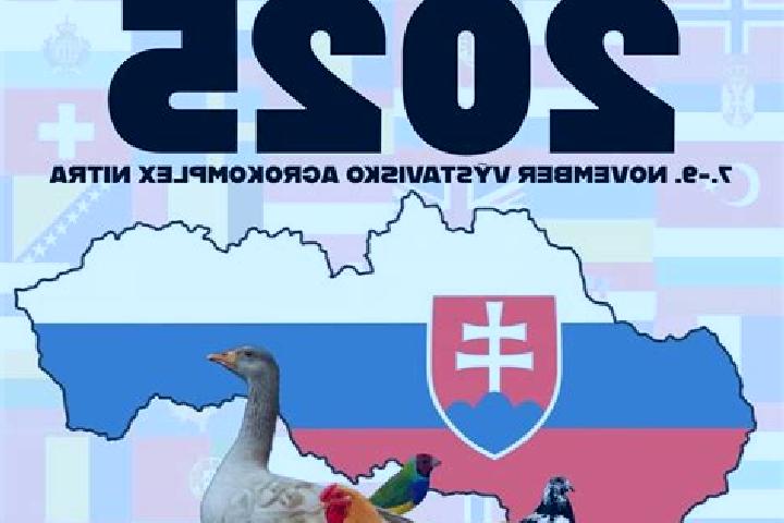 8 escort profiles in Trencianska Turna, Slovakia. Browse companions, services, rates and book online. Incall and outcall available.