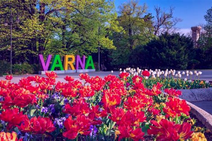 8 escort profiles in Varna, Italy. Browse companions, services, rates and book online. Incall and outcall available.