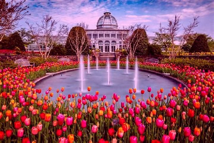 8 escort profiles in Winter Gardens, United States. Browse companions, services, rates and book online. Incall and outcall available.