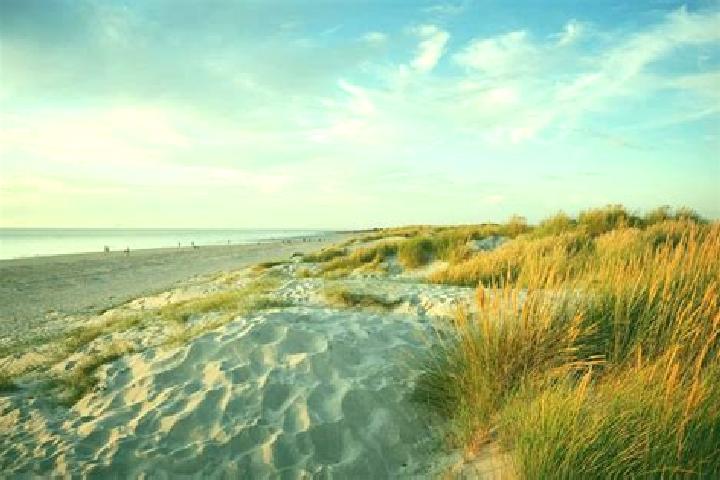 8 escort profiles in Wittering, United Kingdom. Browse companions, services, rates and book online. Incall and outcall available.