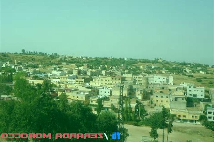 8 escort profiles in Zerarda, Morocco. Browse companions, services, rates and book online. Incall and outcall available.