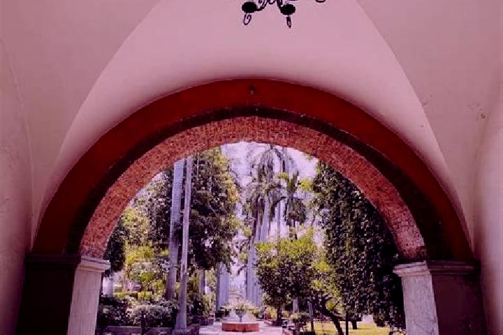 9 escort profiles in Arroyo Vista Hermosa, Mexico. Browse companions, services, rates and book online. Incall and outcall available.
