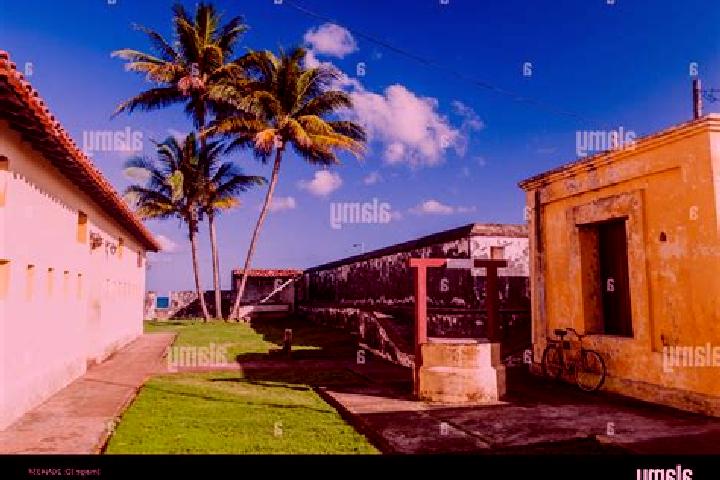 9 escort profiles in Baracoa, Cuba. Browse companions, services, rates and book online. Incall and outcall available.