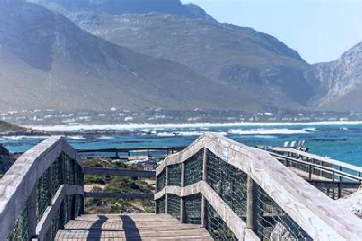 9 escort profiles in Betty s Bay, South Africa. Browse companions, services, rates and book online. Incall and outcall available.