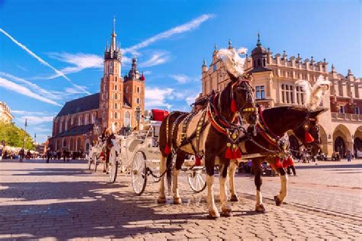 9 escort profiles in Bolechowice, Poland. Browse companions, services, rates and book online. Incall and outcall available.