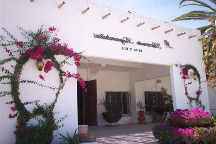 9 escort profiles in Bugambilias (La Cruz), Mexico. Browse companions, services, rates and book online. Incall and outcall available.