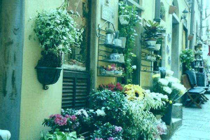 9 escort profiles in Cavasso Nuovo, Italy. Browse companions, services, rates and book online. Incall and outcall available.