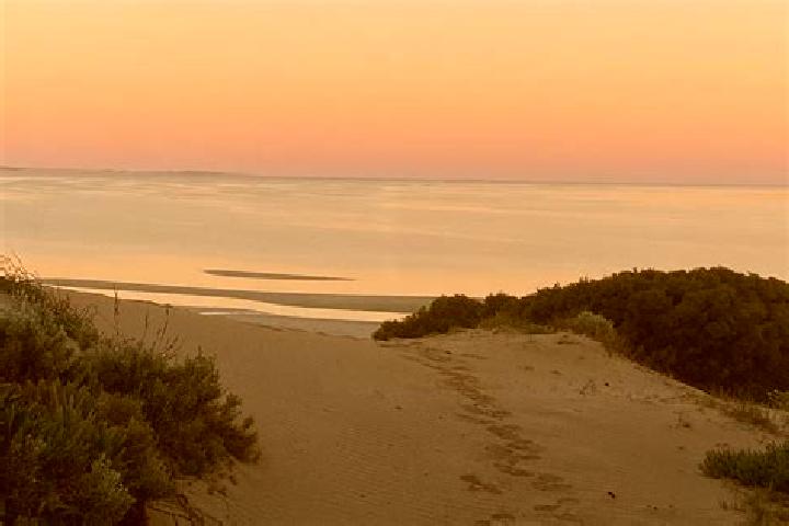 9 escort profiles in Ceduna, Australia. Browse companions, services, rates and book online. Incall and outcall available.