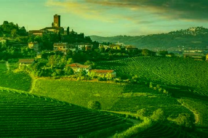 9 escort profiles in Cerreto Langhe, Italy. Browse companions, services, rates and book online. Incall and outcall available.