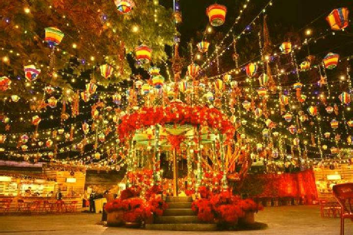 9 escort profiles in Colonia la Navidad, Mexico. Browse companions, services, rates and book online. Incall and outcall available.
