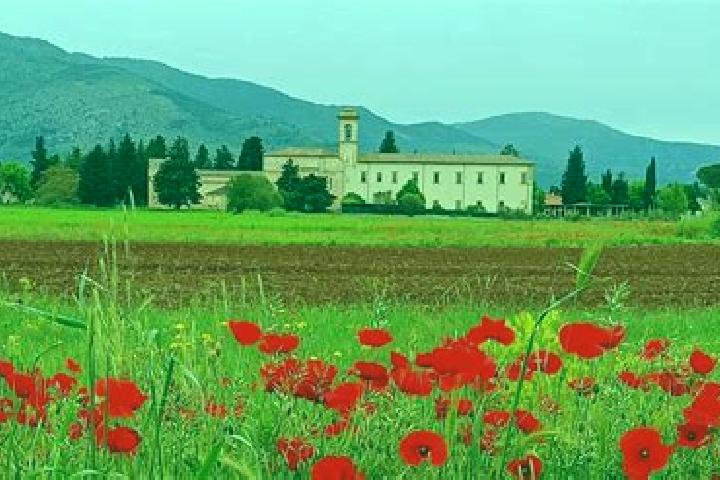 9 escort profiles in Corfinio, Italy. Browse companions, services, rates and book online. Incall and outcall available.