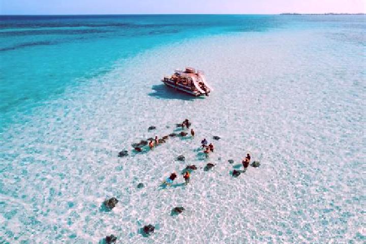 9 escort profiles in Dog City, Cayman Islands. Browse companions, services, rates and book online. Incall and outcall available.