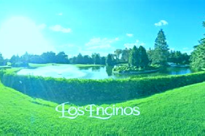 9 escort profiles in Fraccionamiento y Club de Golf los Encinos, Mexico. Browse companions, services, rates and book online. Incall and outcall available.