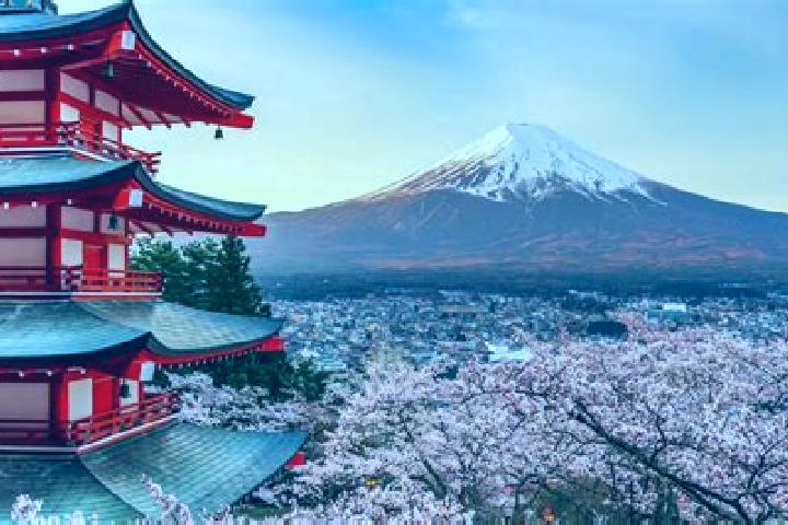 9 escort profiles in Fujiyoshida, Japan. Browse companions, services, rates and book online. Incall and outcall available.