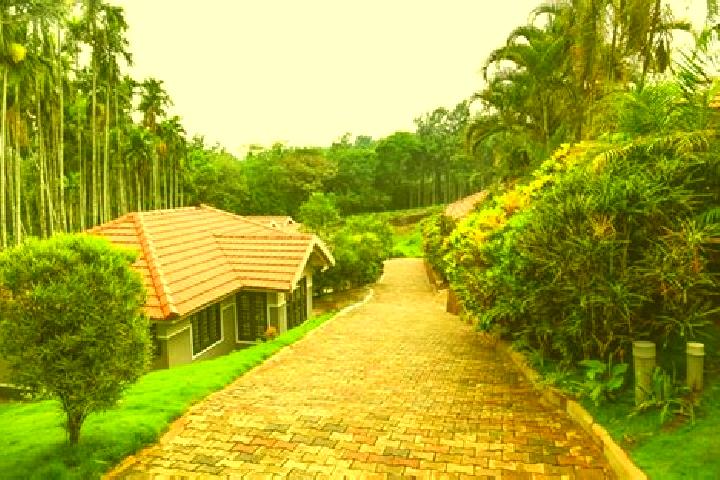 9 escort profiles in Gudalur, India. Browse companions, services, rates and book online. Incall and outcall available.