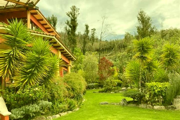 9 escort profiles in Jardines de la Silla, Mexico. Browse companions, services, rates and book online. Incall and outcall available.