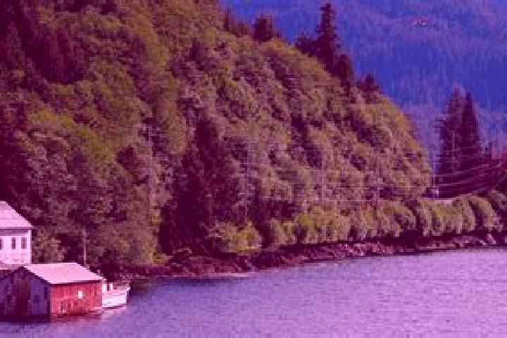 9 escort profiles in Ketchikan, United States. Browse companions, services, rates and book online. Incall and outcall available.
