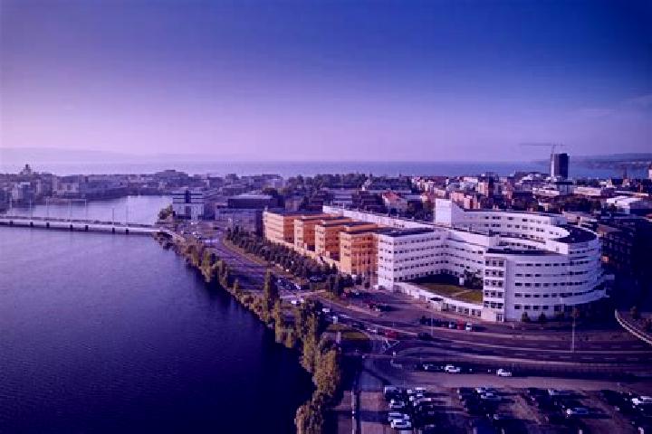 9 escort profiles in Lidhult, Sweden. Browse companions, services, rates and book online. Incall and outcall available.