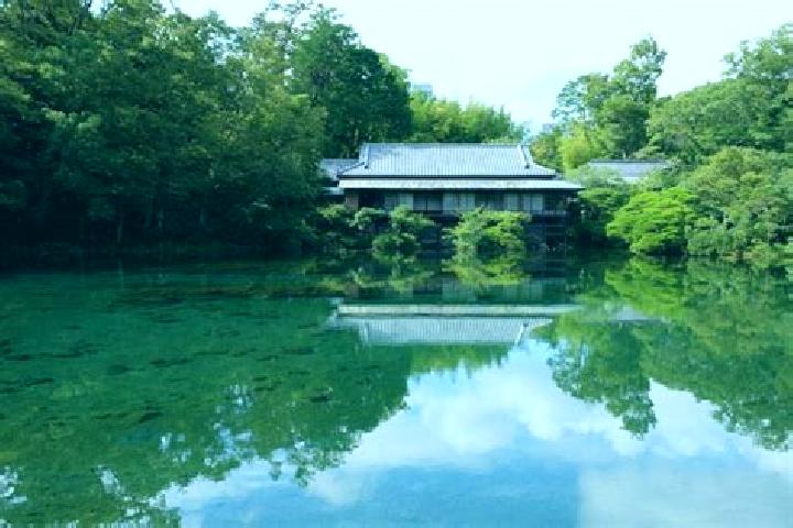 9 escort profiles in Mishima, Japan. Browse companions, services, rates and book online. Incall and outcall available.