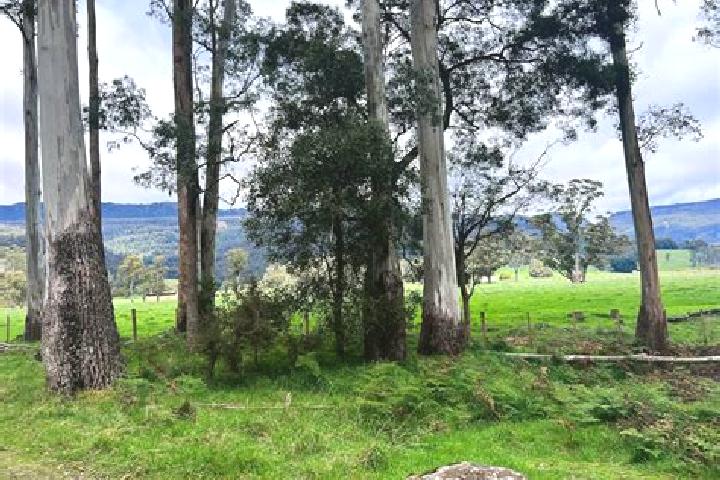 9 escort profiles in Mole Creek, Australia. Browse companions, services, rates and book online. Incall and outcall available.