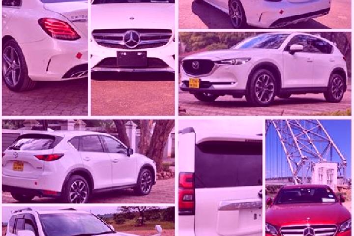9 escort profiles in Musina, South Africa. Browse companions, services, rates and book online. Incall and outcall available.