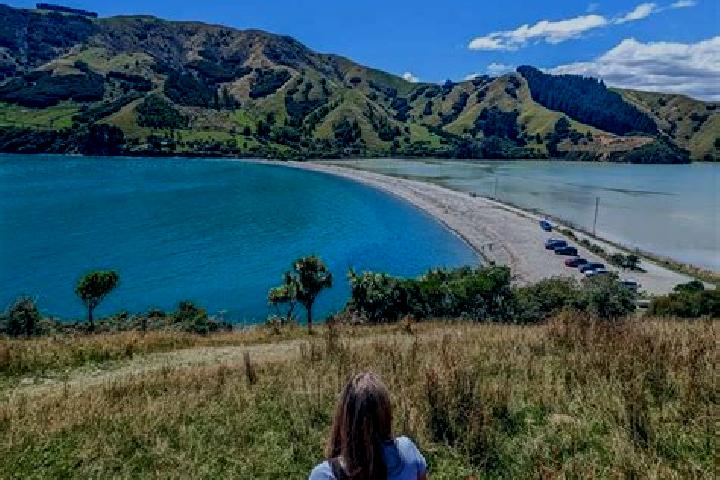 9 escort profiles in Nelson, New Zealand. Browse companions, services, rates and book online. Incall and outcall available.