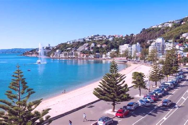 9 escort profiles in Oriental Bay, New Zealand. Browse companions, services, rates and book online. Incall and outcall available.