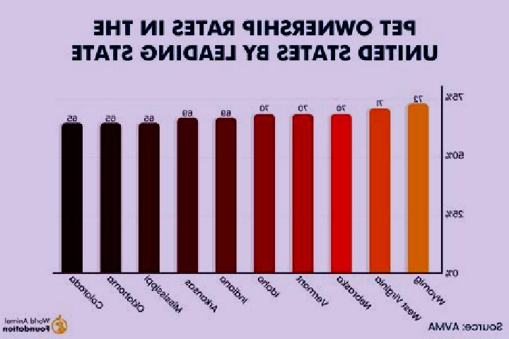 9 escort profiles in Poplar, United States. Browse companions, services, rates and book online. Incall and outcall available.