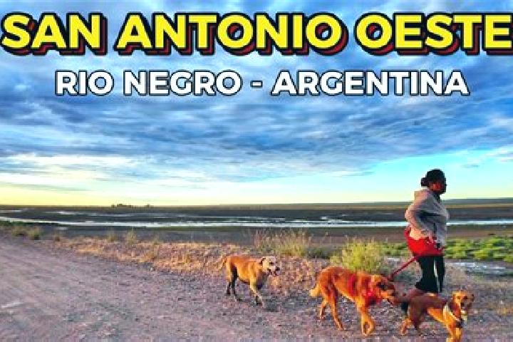 9 escort profiles in San Antonio Oeste, Argentina. Browse companions, services, rates and book online. Incall and outcall available.