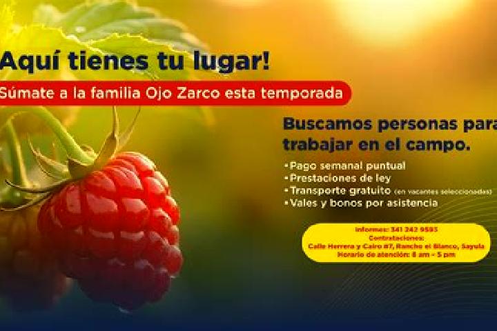 9 escort profiles in San Pedro Ojo Zarco, Mexico. Browse companions, services, rates and book online. Incall and outcall available.
