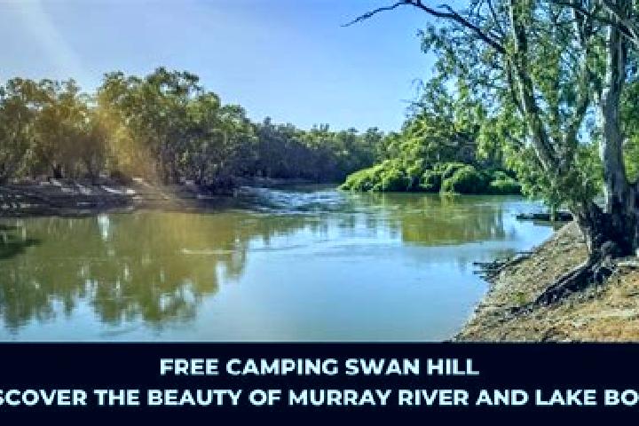 9 escort profiles in Swan Reach, Australia. Browse companions, services, rates and book online. Incall and outcall available.