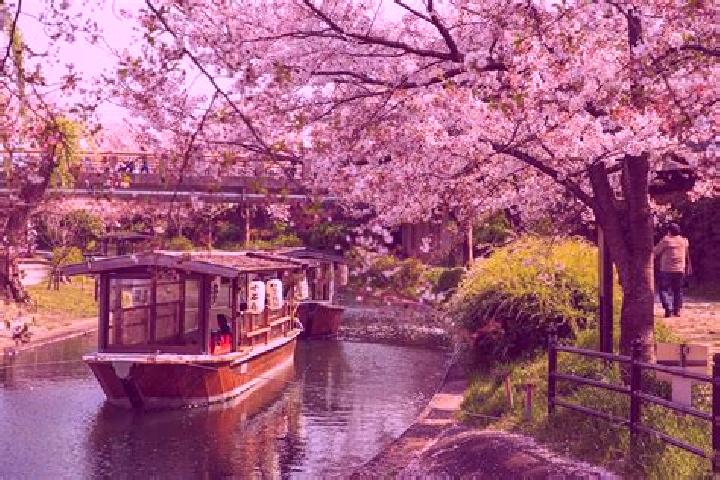 9 escort profiles in Takaoka, Japan. Browse companions, services, rates and book online. Incall and outcall available.