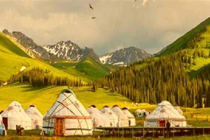 9 escort profiles in Tohom, Mongolia. Browse companions, services, rates and book online. Incall and outcall available.