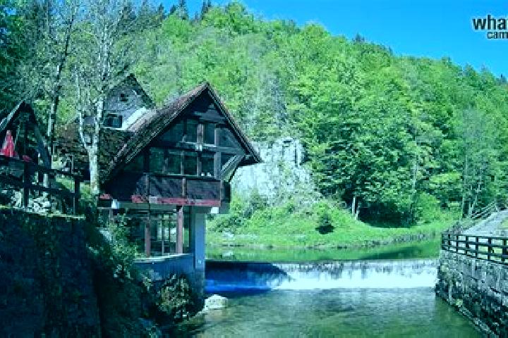 9 escort profiles in Vrbovsko, Croatia. Browse companions, services, rates and book online. Incall and outcall available.
