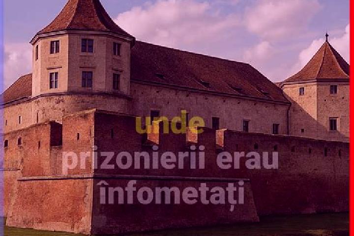 9 escort profiles in Ziduri, Romania. Browse companions, services, rates and book online. Incall and outcall available.