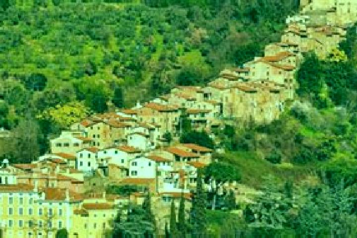 Abigail, 23 — Escort in Chiesino-Collodi, Italy