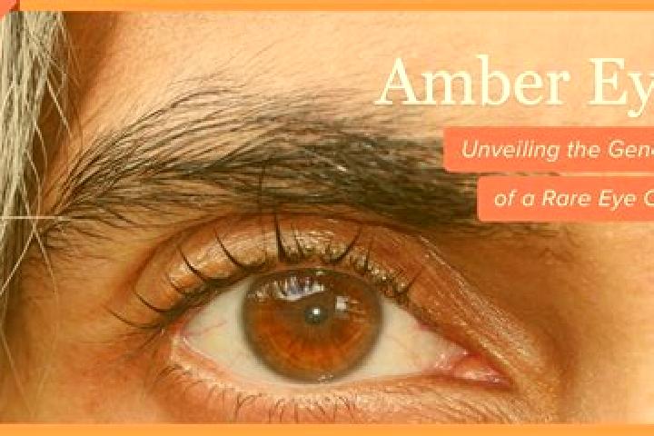 Abigail, 26, a black amber-eyed indian companion based in Ap Hoa Thanh. Offering Erotic Massage, 69, Domination. Available for incall and outcall, overnight ...