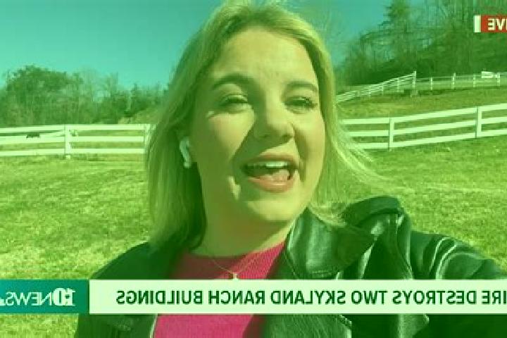Abigail, 26 — Escort in Skyland Estates, United States