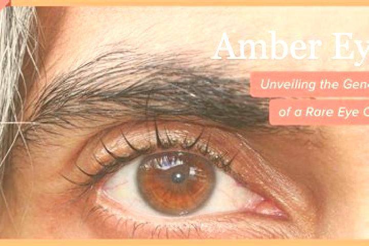 Abigail, 28, a black amber-eyed caribbean companion based in Les Gets. Offering Striptease, GFE, Deep French Kissing, 69. Available for incall and outcall, d...