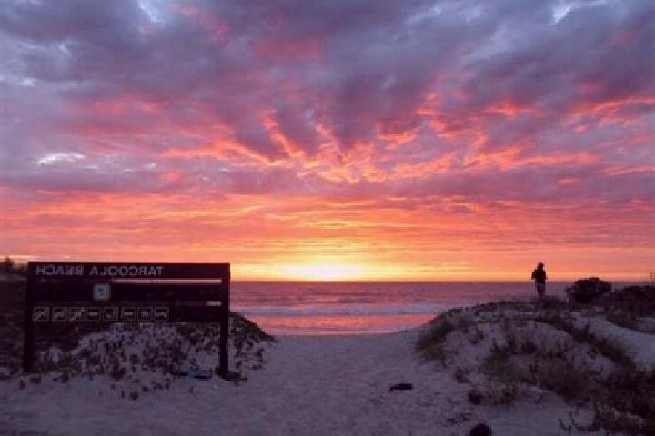 Abigail, 29 — Escort in Tarcoola Beach, Australia