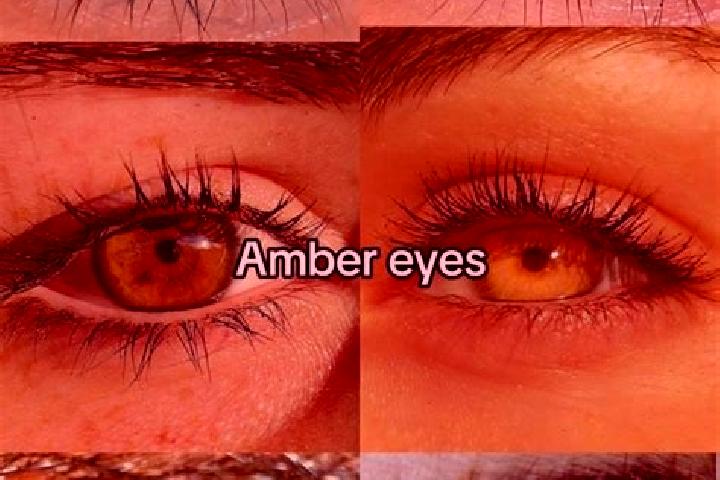 Abigail, 31, a chestnut amber-eyed middle eastern companion based in Ieper. Offering Prostate Massage, OWO. Available for incall and outcall, day and evening...