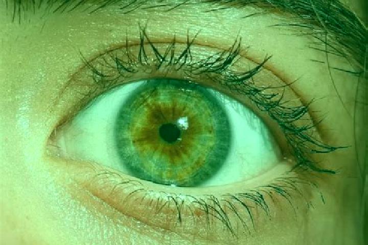 Abigail, 31, a red hazel-eyed mediterranean companion based in El Llano. Offering Prostate Massage, Duos, Couples. Available for incall and outcall, day and ...